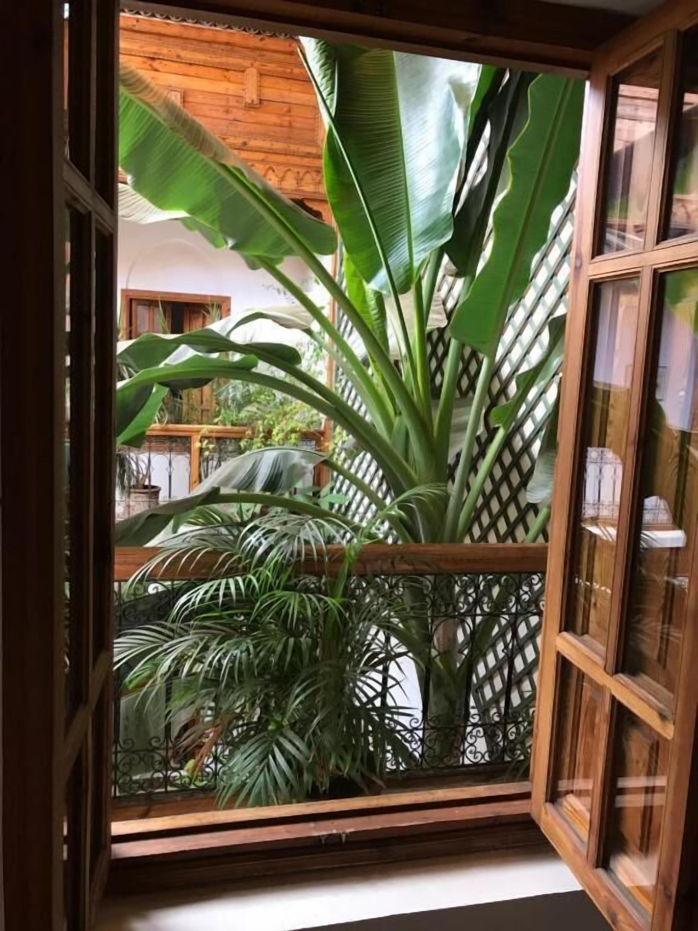 Foto - Riad Irene