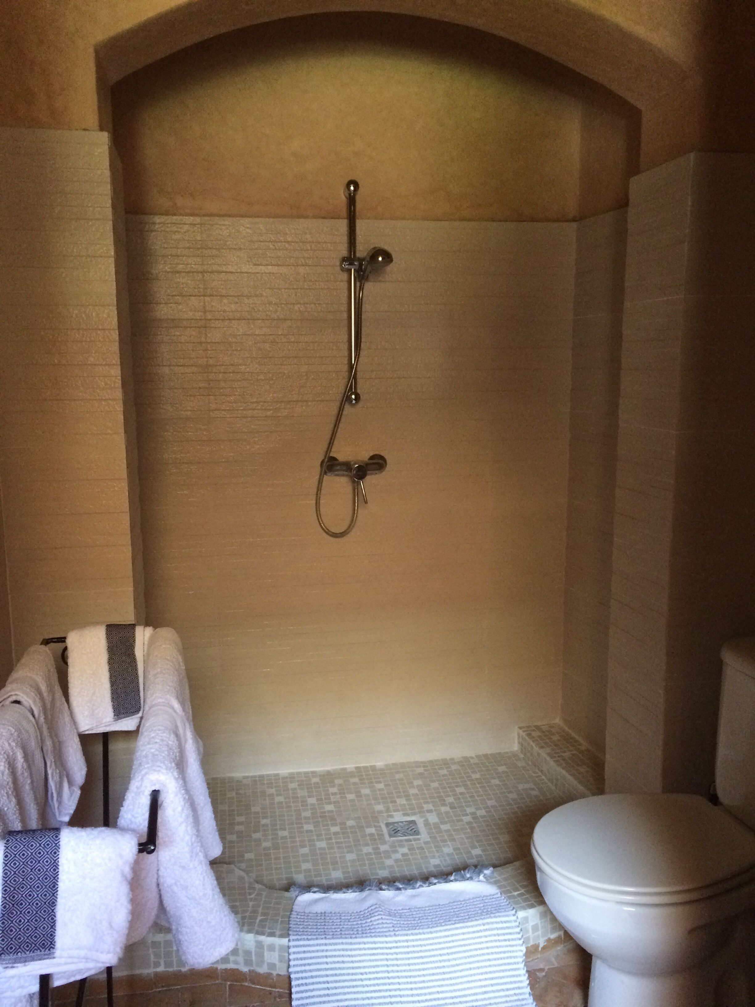 A bathroom with a shower, a toilet, and towels hanging on a rack.