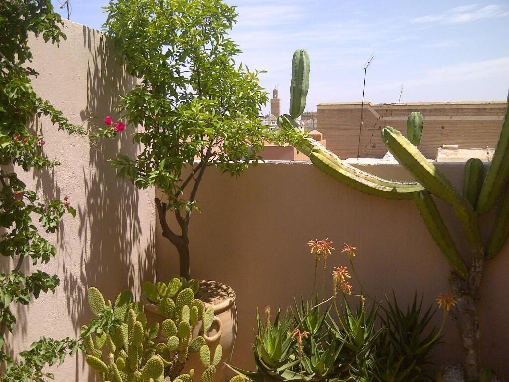 Foto - Riad Irene