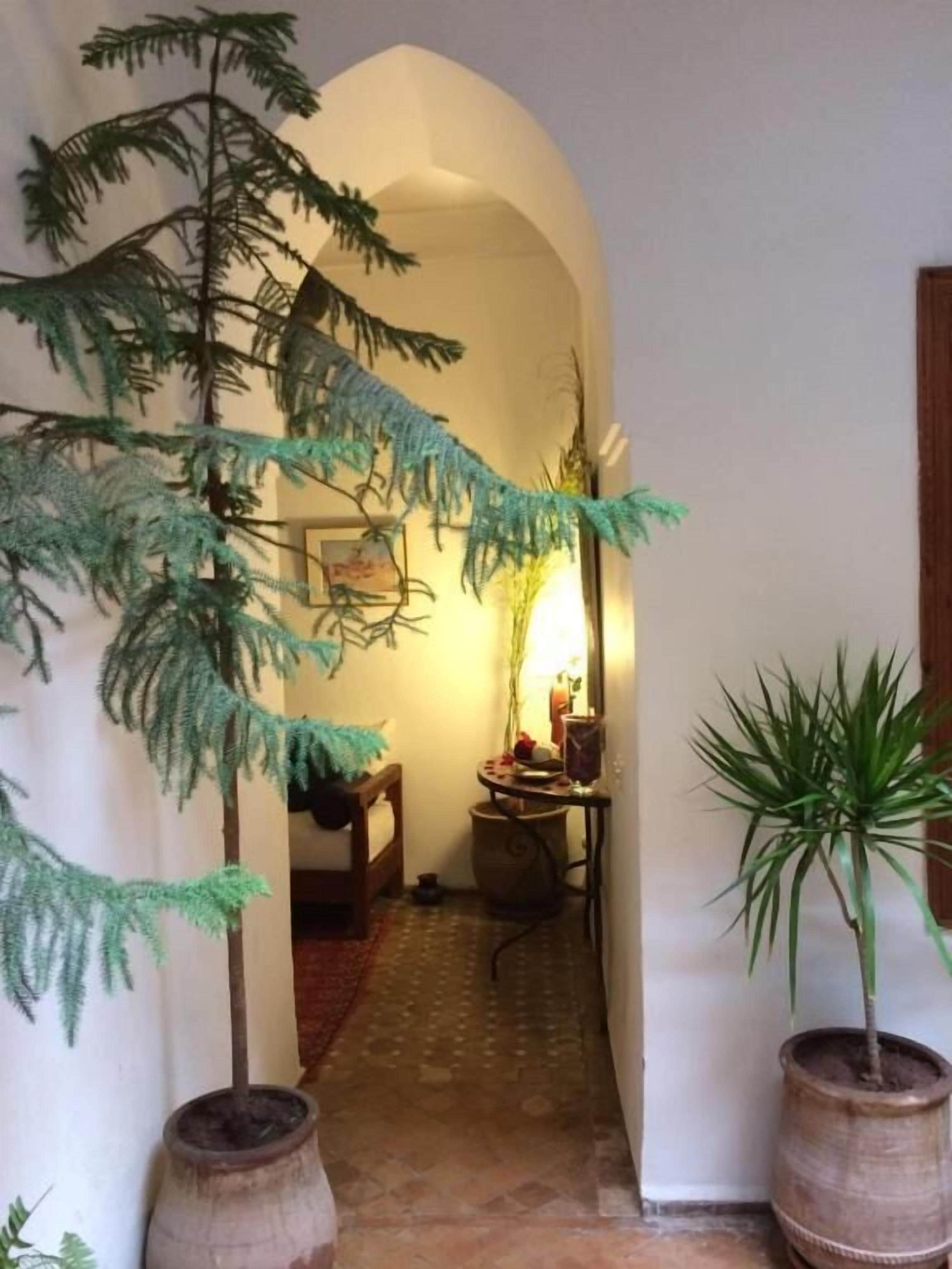 Foto - Riad Irene