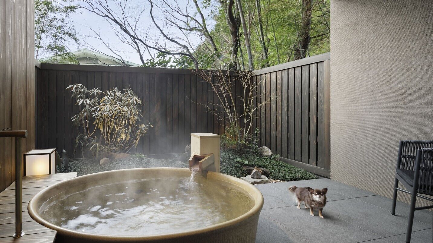 Een hottub in een buitengebied met een houten omheining, een hond en een stoel.