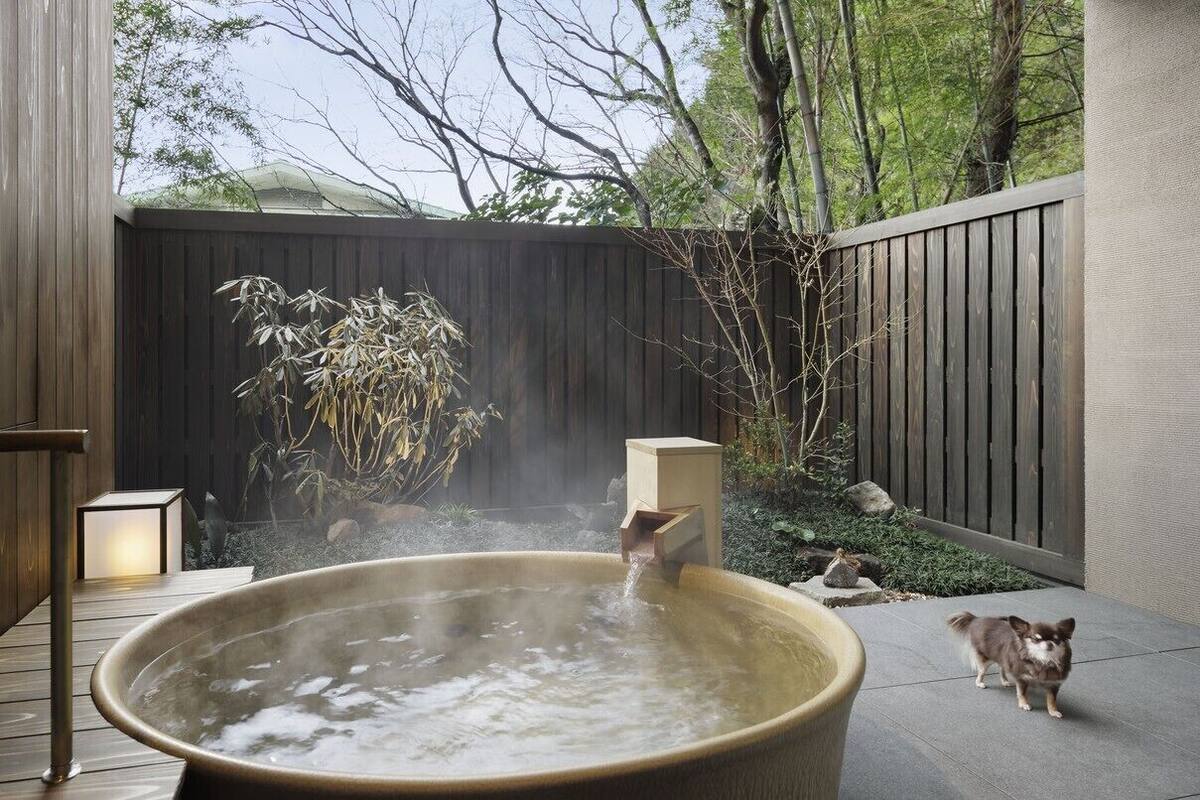 A hot tub in an outdoor setting with a wooden fence, a dog, and a chair.
