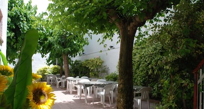 Hotel Armonia
