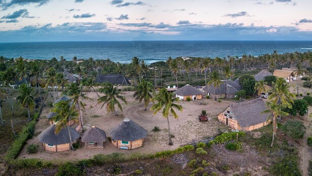 A coastal village with thatched-roof huts, palm trees, and a view of the ocean. - Duna Lodge (Jangamo)