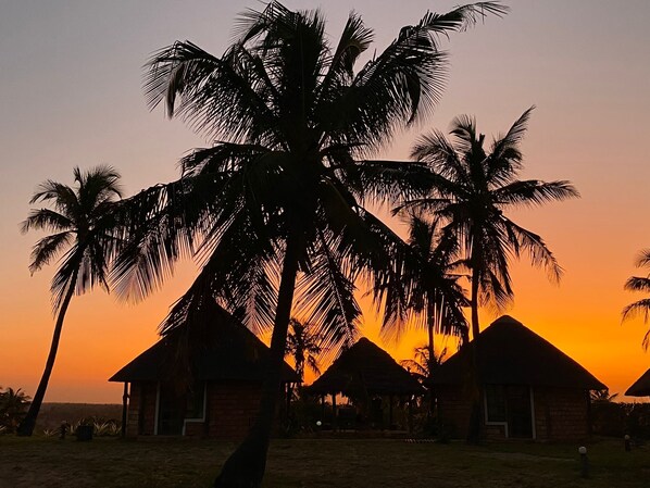 Vista del atardecer con palmeras y cabañas de techo de paja.