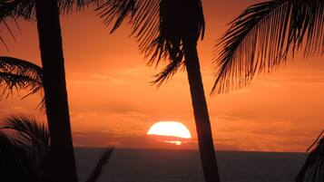 Plage, sable blanc, navette pour la plage, pĂȘche sur place