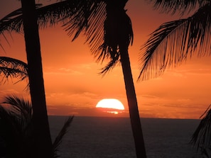 A sunset over the ocean with palm trees silhouetted against the sky.