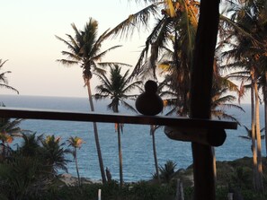 Bar (on property) - Duna Lodge (Jangamo)