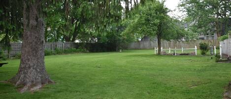 A backyard with a large tree, a wooden fence, and a grassy lawn.