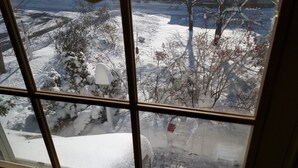 Vista a través de una ventana con celosía metálica, mostrando un paisaje nevado con árboles y una calle.