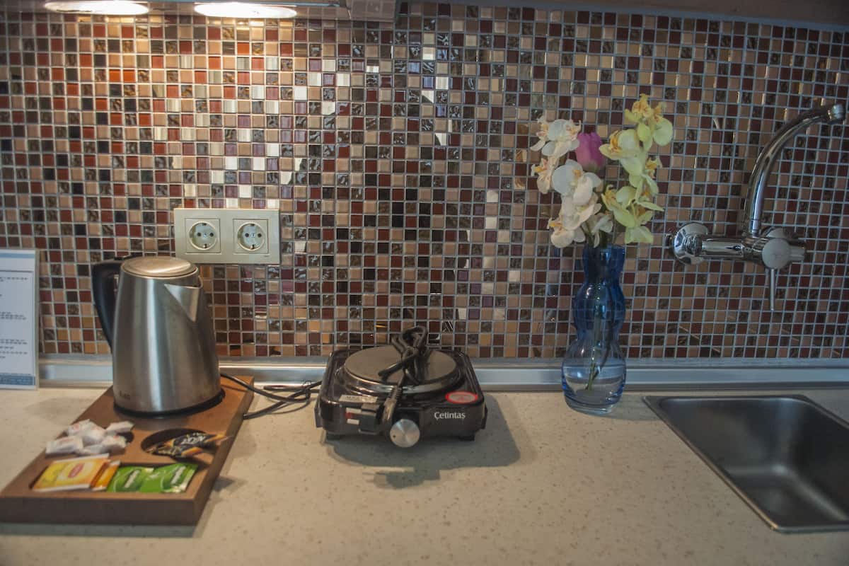 Fridge, stovetop, cookware/dishes/utensils