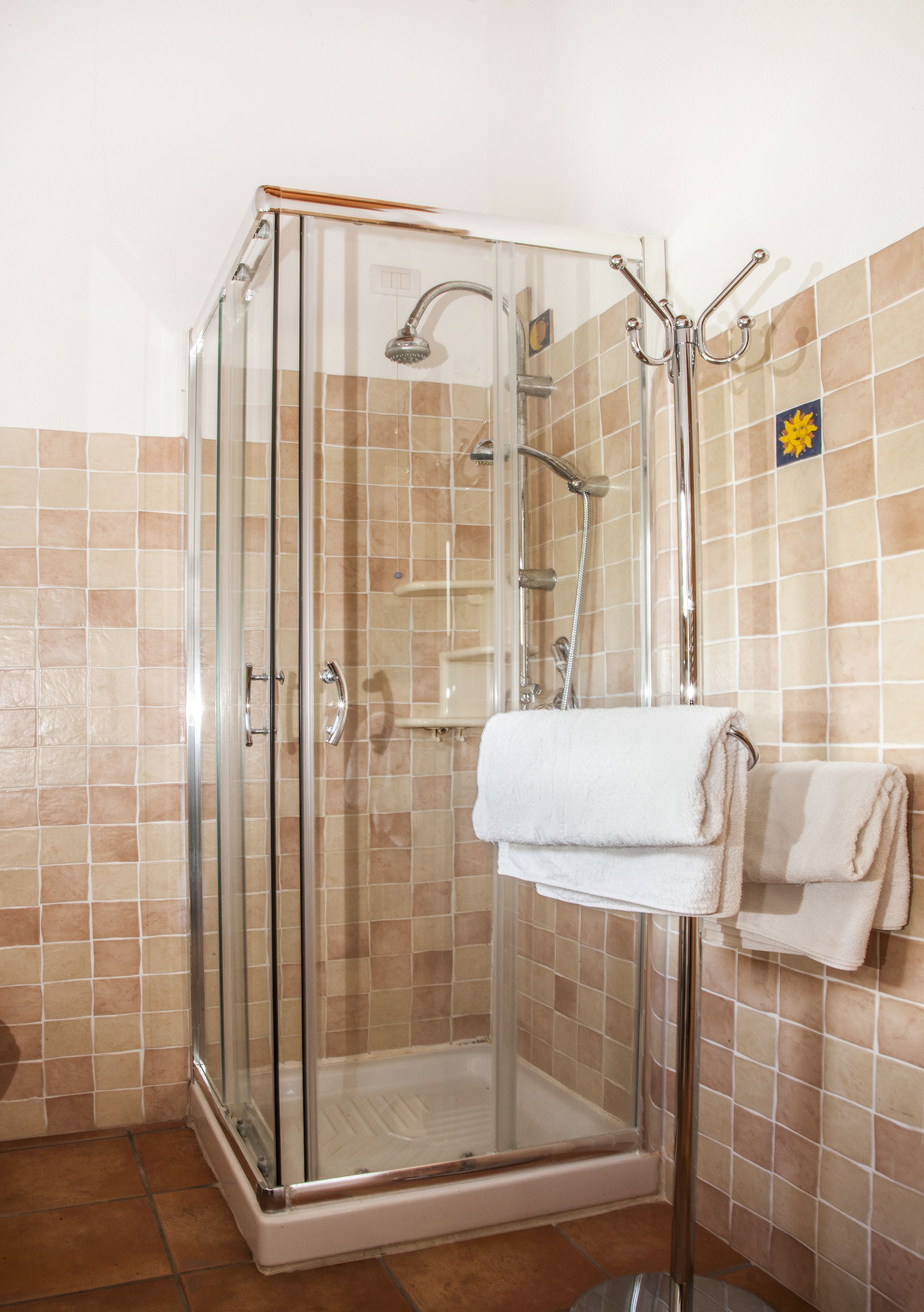 A glass-enclosed shower stall with a handheld showerhead and a wall-mounted towel rack.