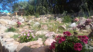 En trädgård med stora stenar och rosa blommor.