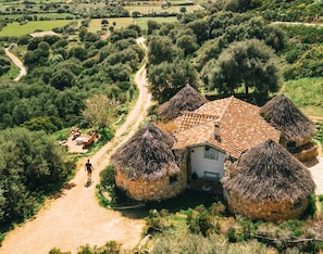 A rustic house with a tiled roof surrounded by thatched-roof structures, set in a lush, green landscape with a dirt path leading to the house. - Essenza Sardegna (Torpe)