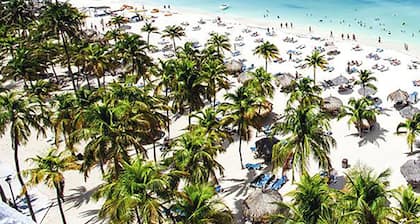 Gold Coast Luxurious and Stylish Condo