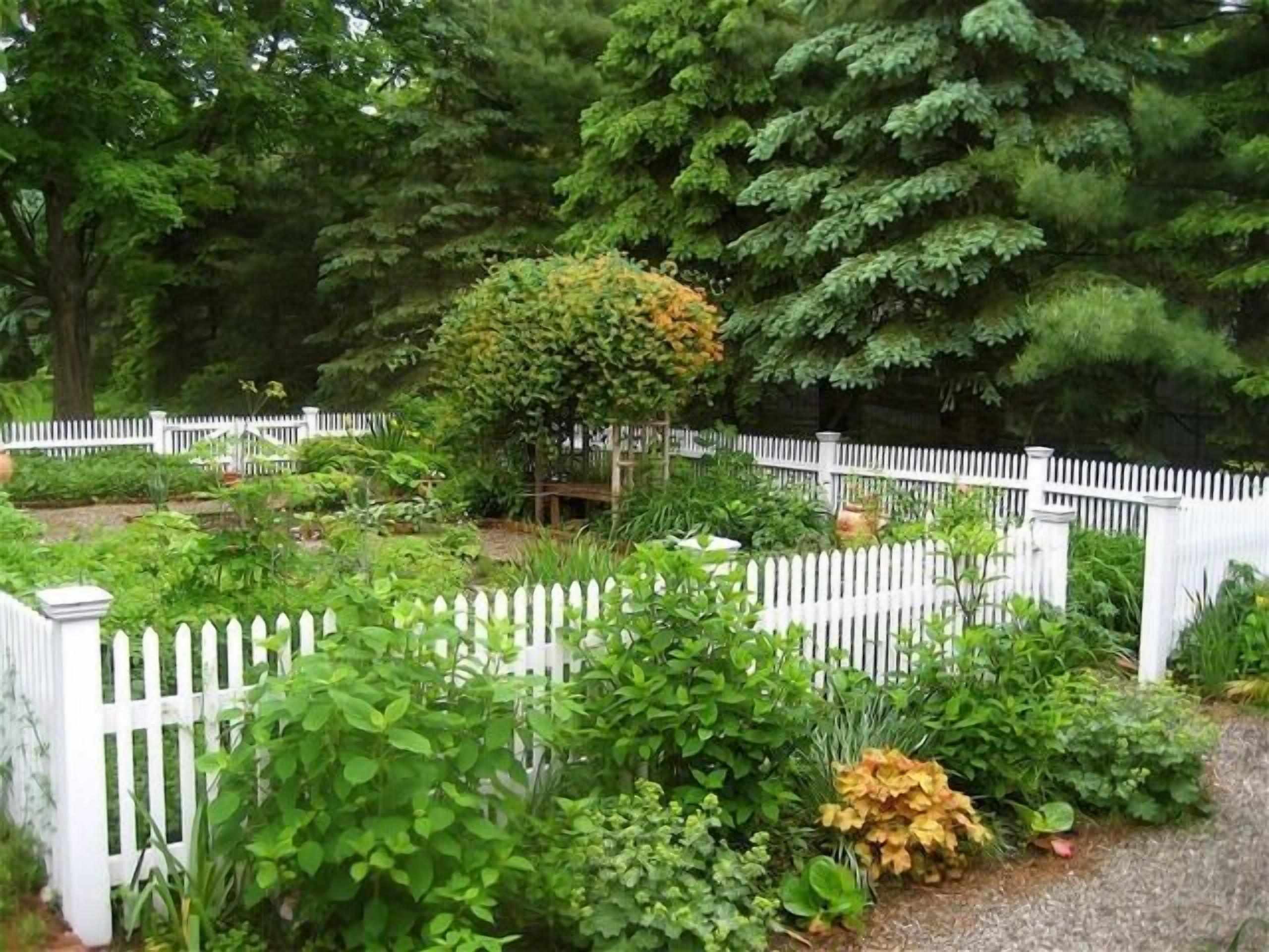 Un jardín con cerca blanca de piquetes, diversas plantas y un árbol grande.
