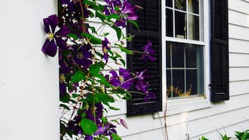 Un bâtiment blanc avec des volets noirs, une fenêtre et des fleurs violettes qui grimpent le long du mur.