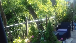 Garden view