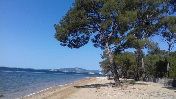 A beach with clear skies, calm sea, and trees along the shore. - Hôtel Notre Dame (Collobrieres)