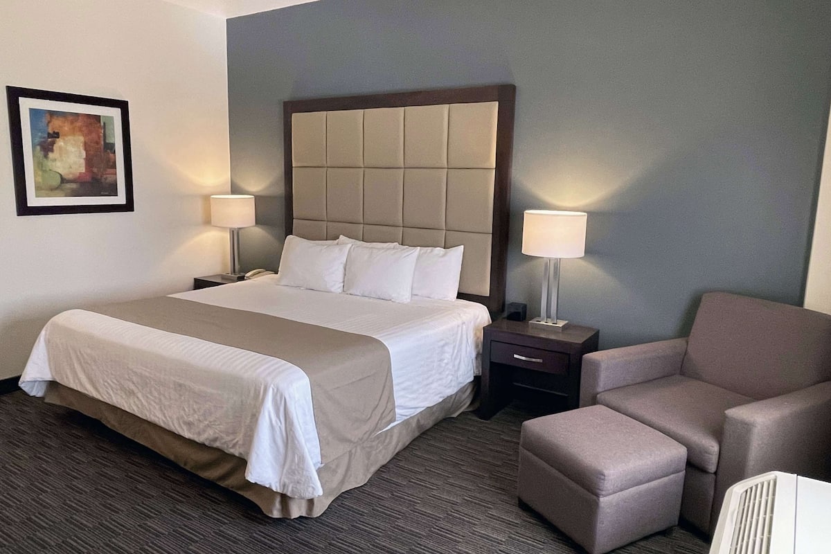 Standard Room, 1 King Bed, Non Smoking, Refrigerator | Premium bedding, pillowtop beds, minibar, in-room safe