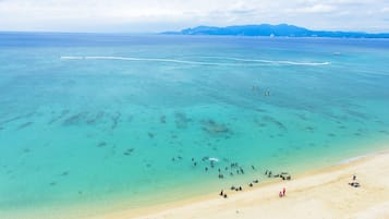 Trên bãi biển