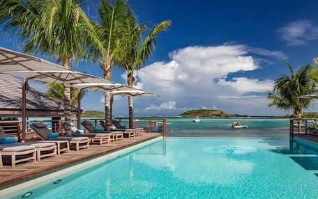 A clear blue pool with lounge chairs and umbrellas, surrounded by palm trees and a view of the ocean.