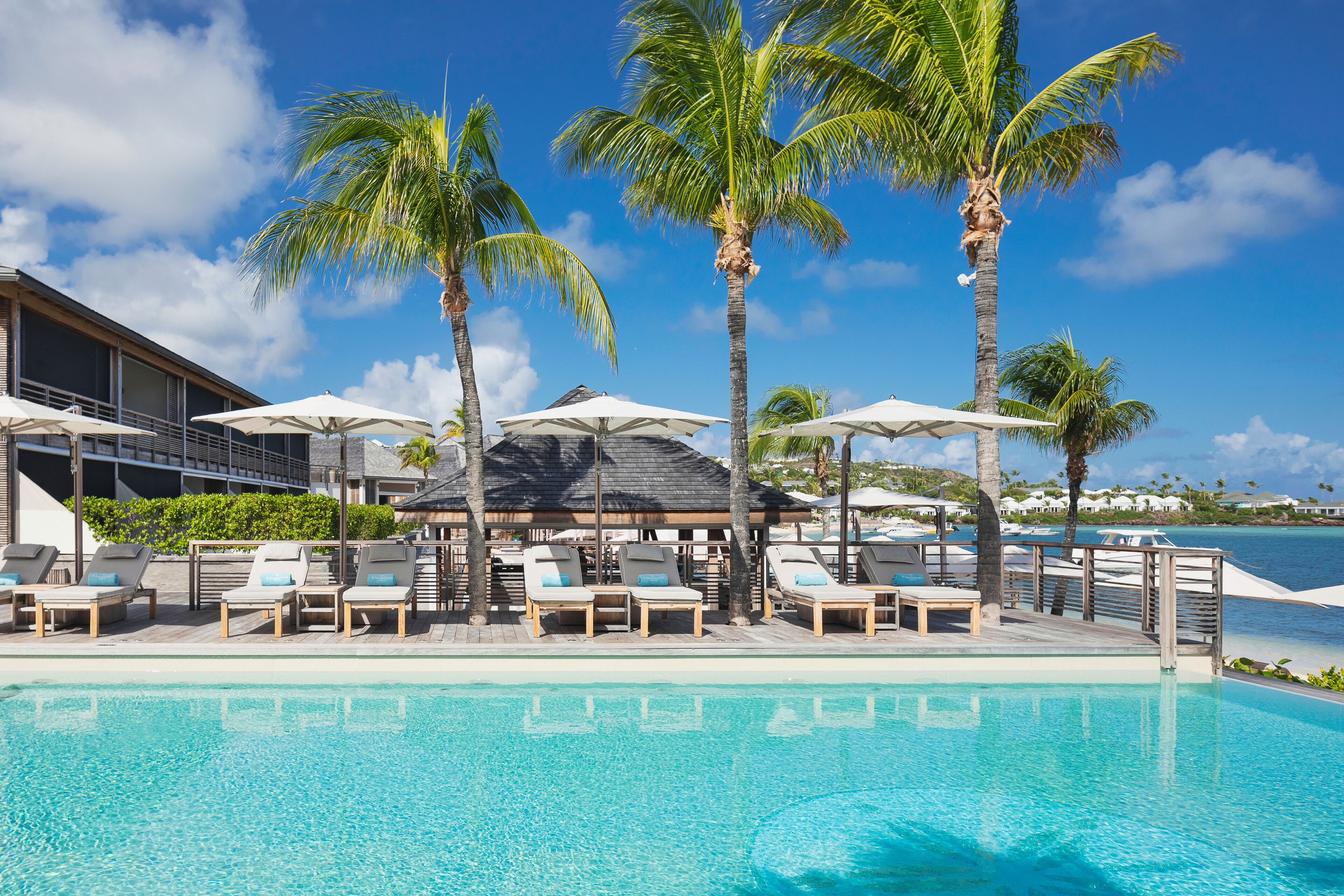 Un espace aménagé au bord de la piscine, avec des chaises longues et des parasols, des palmiers et une vue sur l’océan.