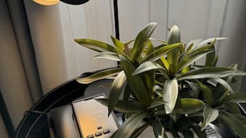 Un escritorio con una lámpara negra, un teléfono blanco y una planta en maceta.