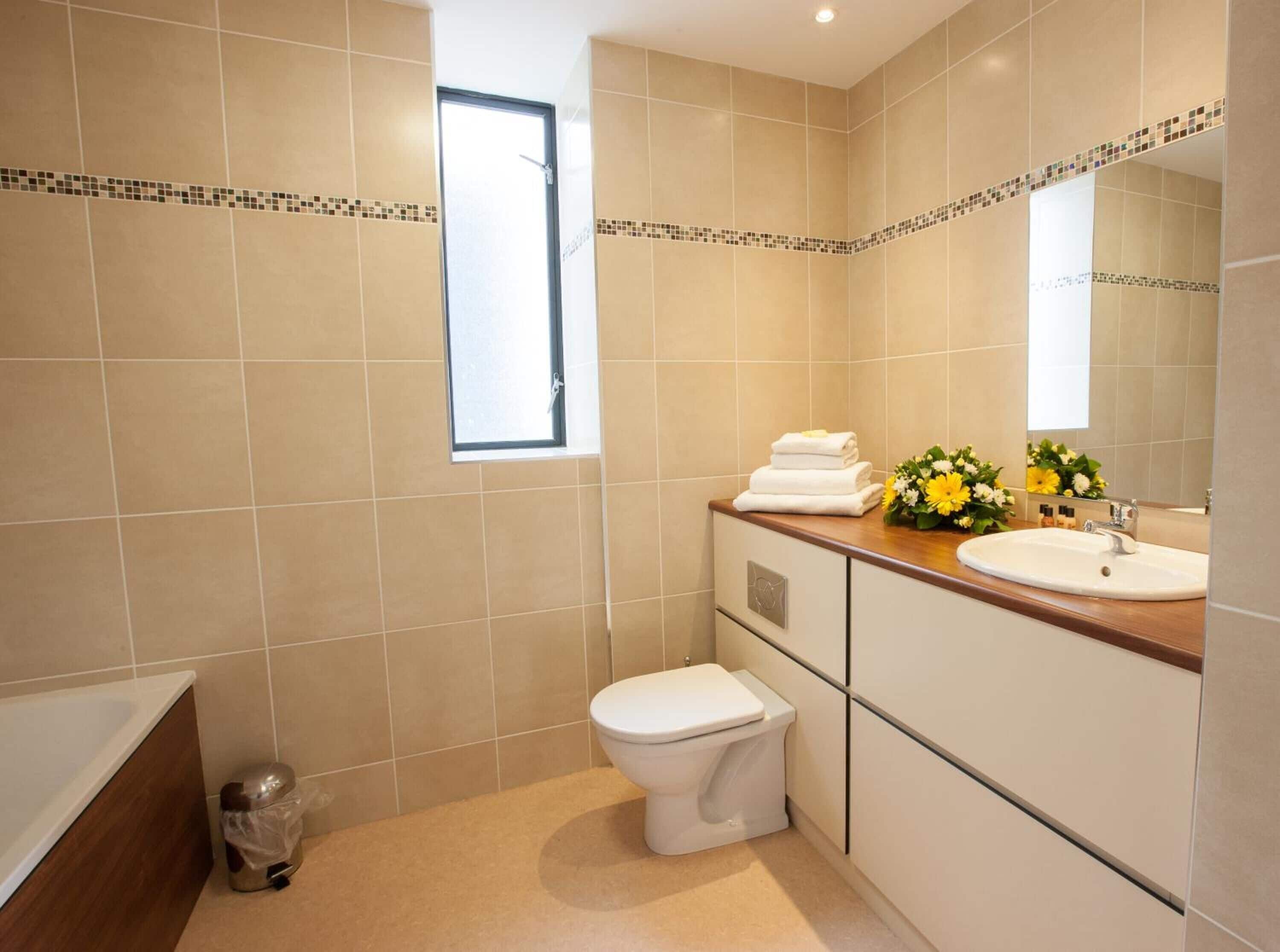 combined shower/bathtub, free toiletries, hair dryer, towels