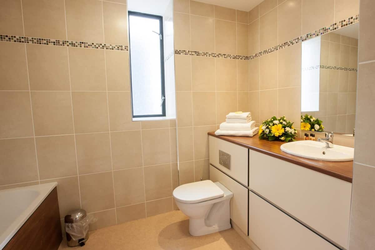 combined shower/bathtub, free toiletries, hair dryer, towels