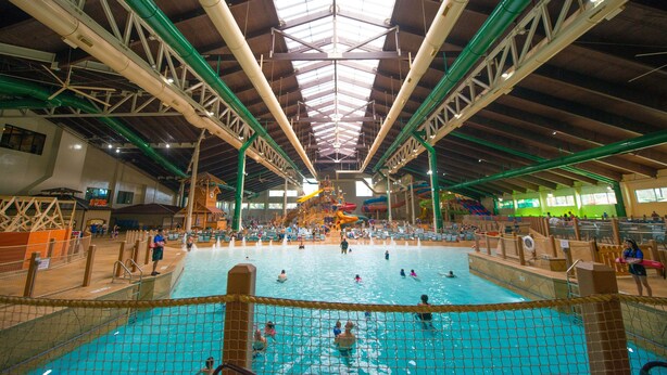 An indoor swimming pool with a high ceiling, visible structural beams, and a central water slide. - Great Wolf Lodge Anaheim, CA (Garden Grove)