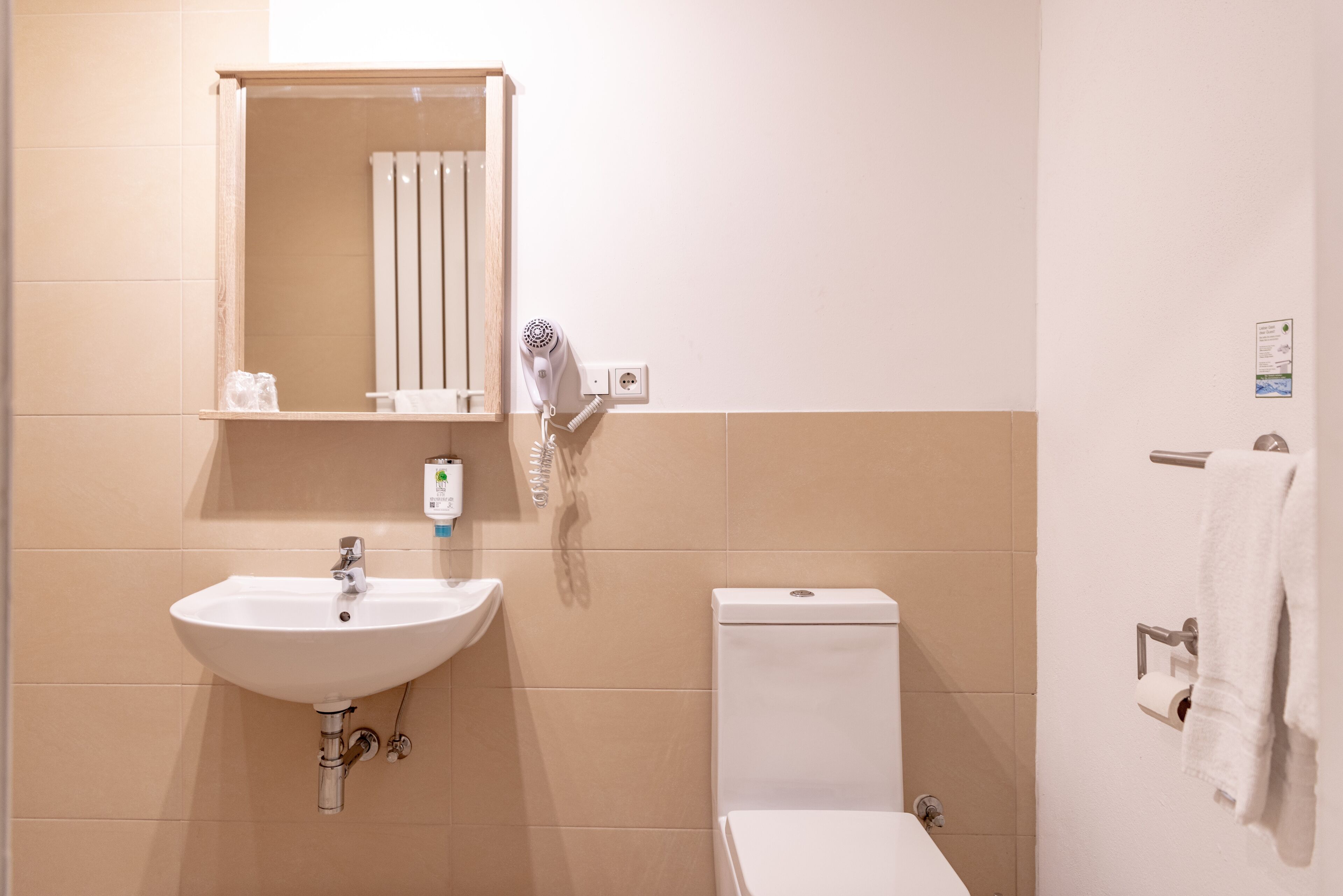 single room | bathroom | shower, free toiletries, hair dryer, towels