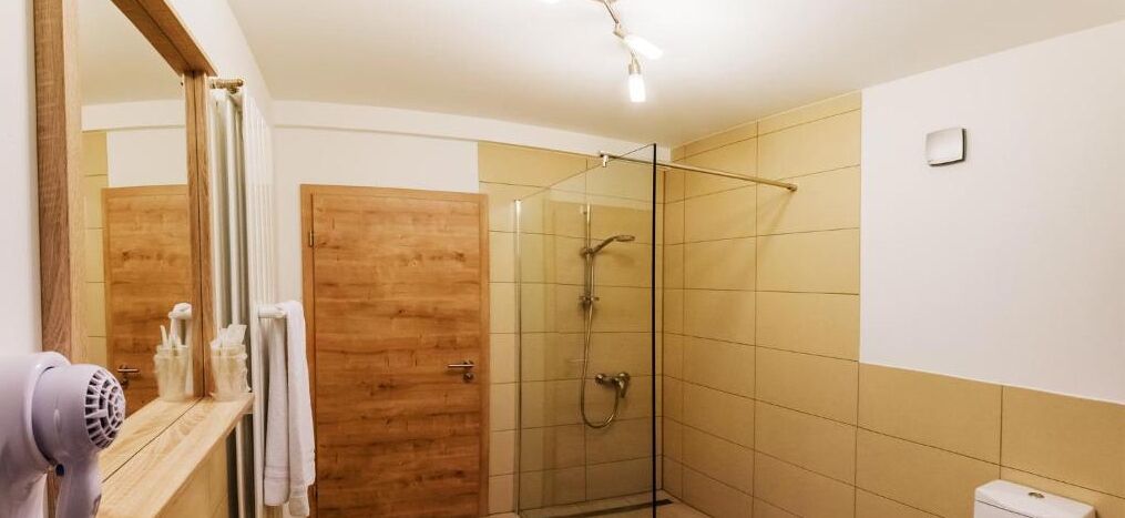 shower, free toiletries, hair dryer, towels