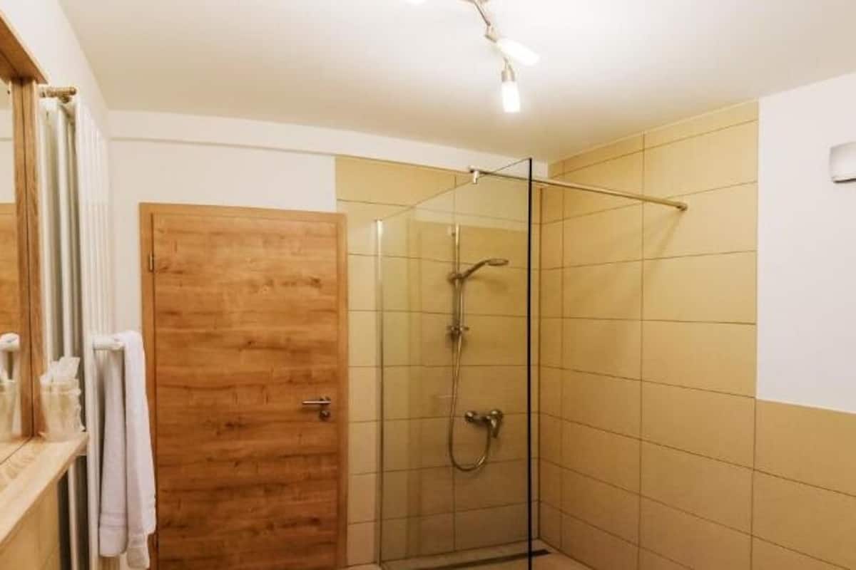 shower, free toiletries, hair dryer, towels