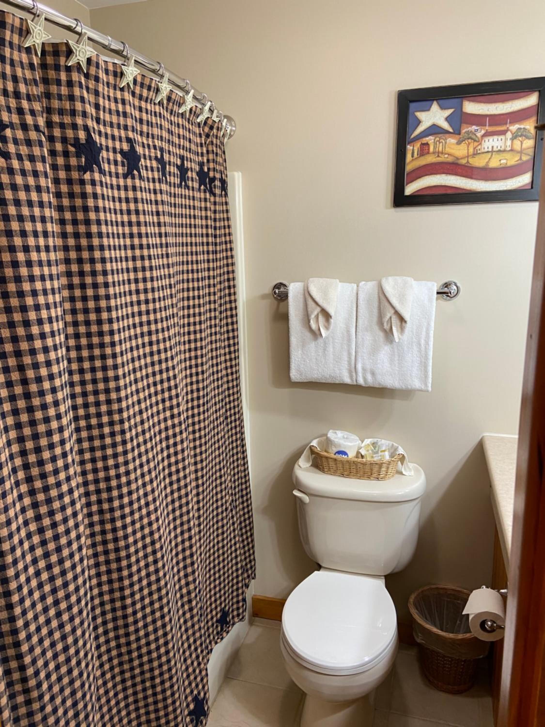 Combined shower/tub, free toiletries, hair dryer, towels