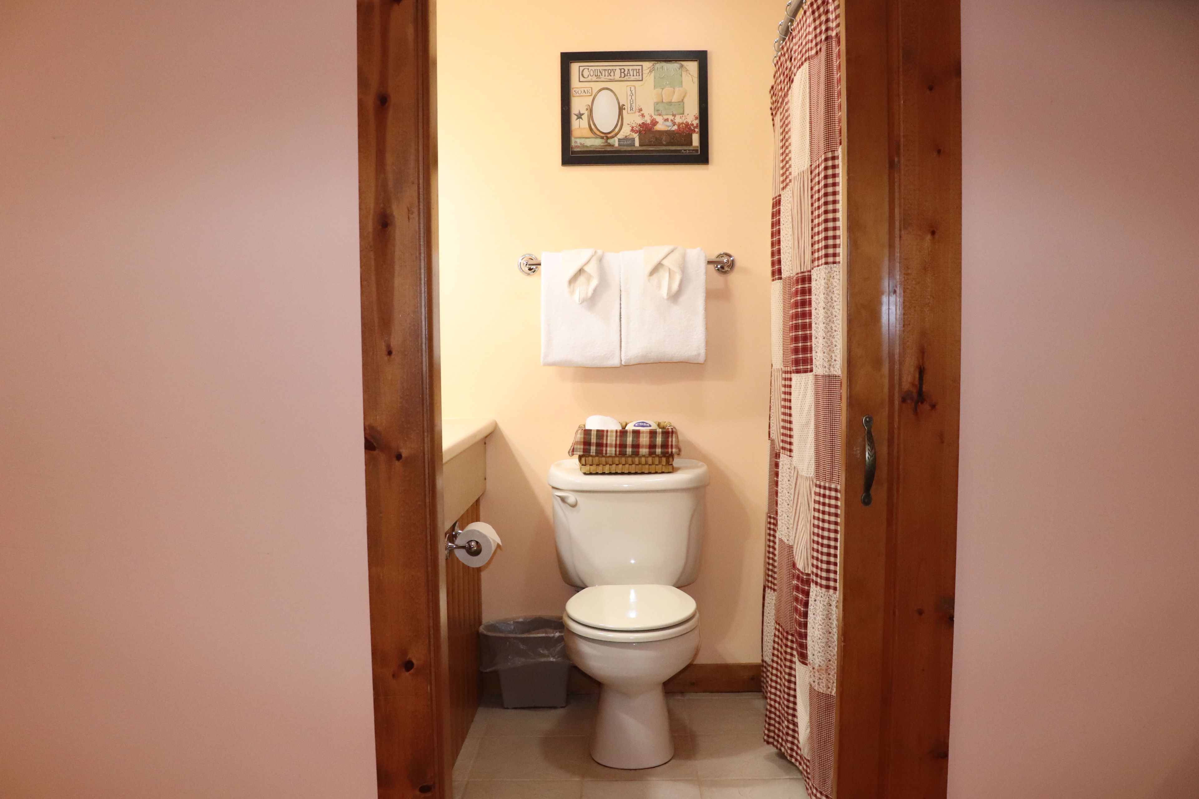 Casa de banho com sanita, rolo de papel higiénico, um cesto de lixo, toalha pendurada num suporte e um quadro emoldurado na parede.