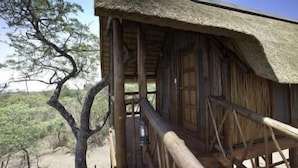 A wooden structure with a thatched roof, likely a rustic accommodation or lodge, surrounded by natural vegetation. - Lion Tree Top Lodge (Hoedspruit)