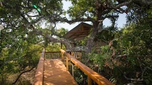 A wooden deck leading to a treehouse with a wooden roof, surrounded by dense foliage. - Lion Tree Top Lodge (Hoedspruit)