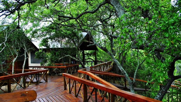 A wooden deck with benches and a birdhouse, surrounded by trees. - Lion Tree Top Lodge (Hoedspruit)