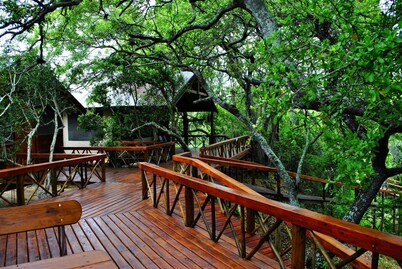 Lion Tree Top Lodge