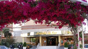 The entrance of a hotel named "Cabañas de Oro" with a covered walkway and potted plants.
