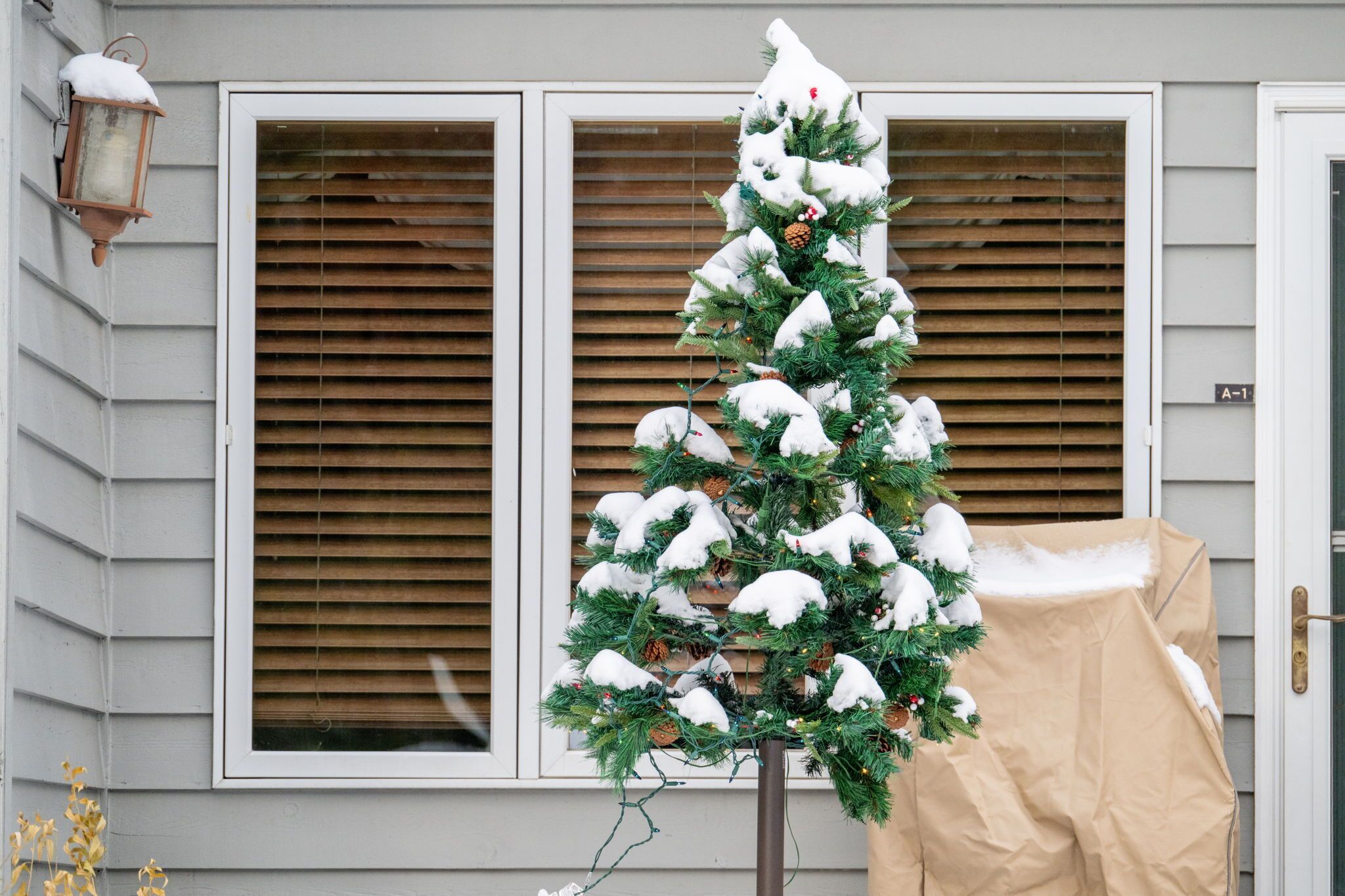 A snow-covered Christmas tree in front of a house with wooden shutters and a covered door.