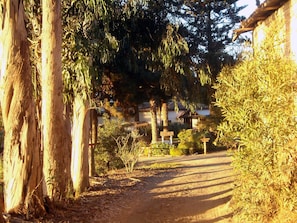 Jardines del alojamiento