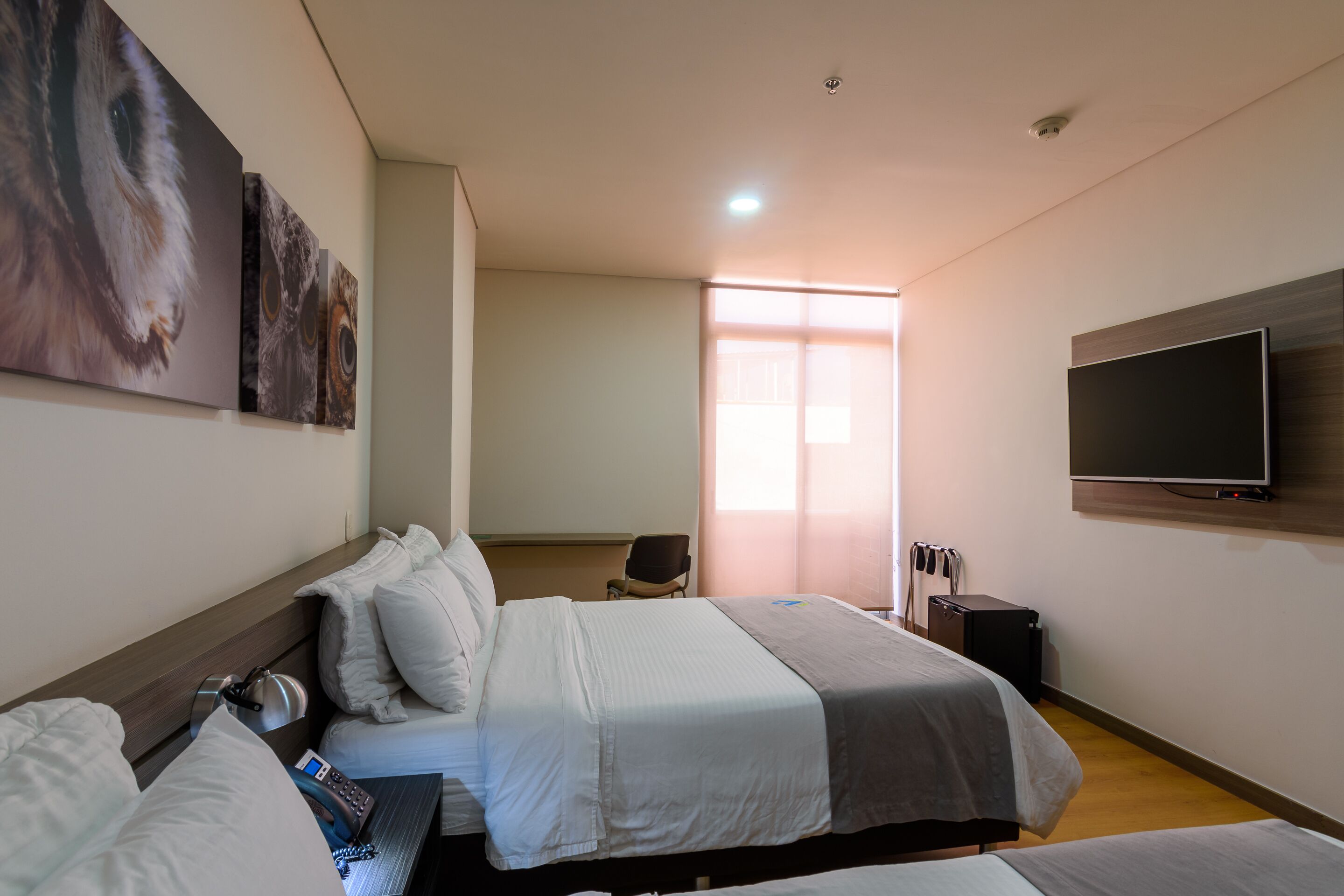 A hotel room with a bed, a desk, a chair, a TV, and artwork on the wall.