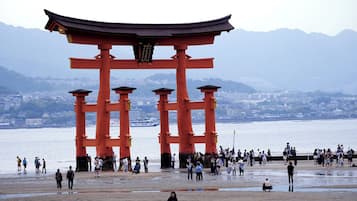 City view from property