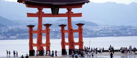 City view from property