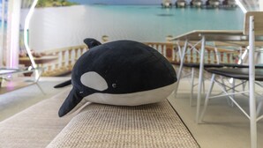 A plush toy on a textured surface, with a blurred background featuring a water body and overwater bungalows. - OMOTENASHI Hostel Miyajima (Hatsukaichi)