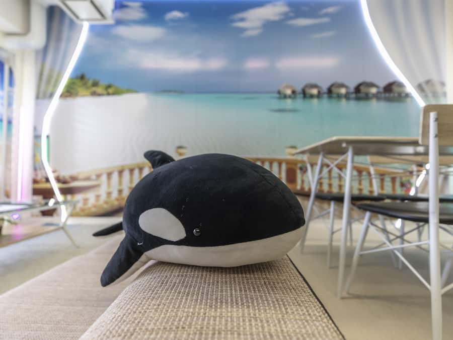 A plush toy on a textured surface, with a blurred background featuring a water body and overwater bungalows.