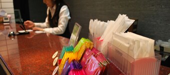 Sky Hotel Uozu Annex