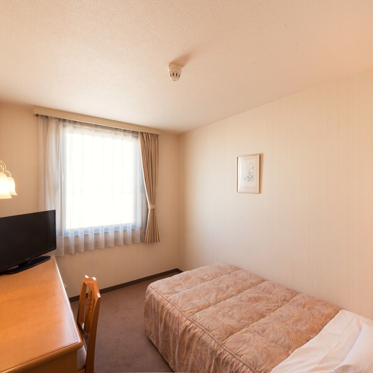 Desk, free WiFi, bed sheets